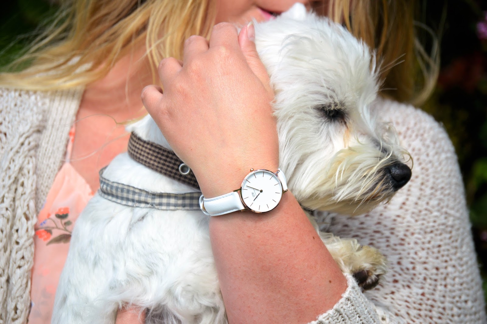 Classic petite discount bondi